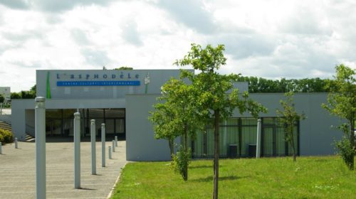 Asphodèle